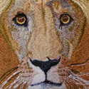 Lion | Embroidery Digitizing